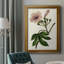 Mauve Botanicals I - impression-517422340