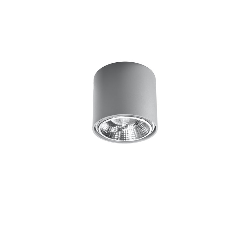 Jormundagand Flush Mount, Grey