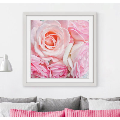 Sylvia Cook - Single Picture Frame Print