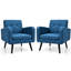 Fauteuil Bugrane-1650127054