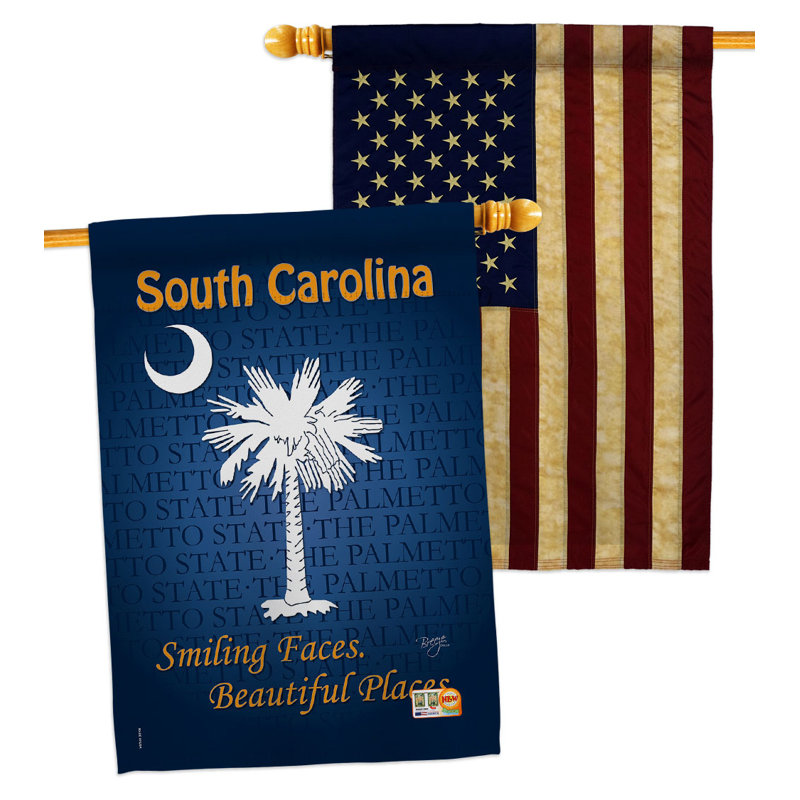 Double Sided 40'' H x 28'' W Polyester House Flag