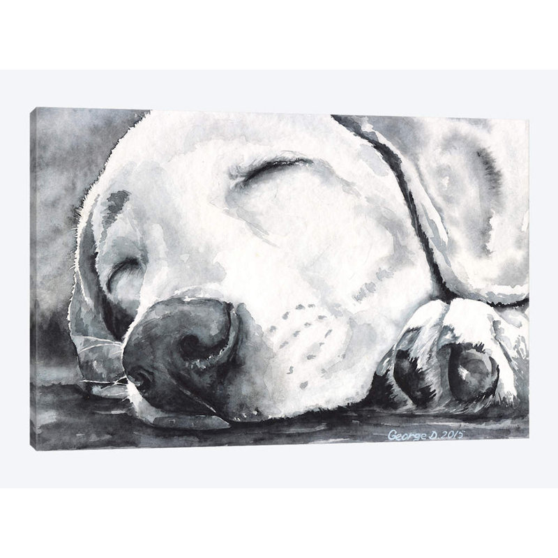 «Happy Dreams» par George Dyachenko, impression sur toile, H 26 po x l 40 po x P 1,5 po, Toile tendue