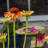 LeChee Metal Weather Resistant Plant Support