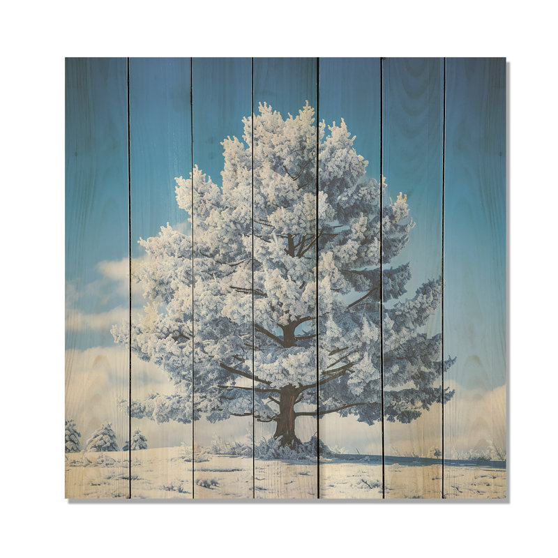 White Snowy Pine Tree - Tree Pine On Wood Print, 30" H x 30" W