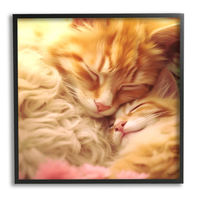 " Sleeping Orange Cats " by Roozbeh, 12" H x 12" W x 0.5" D