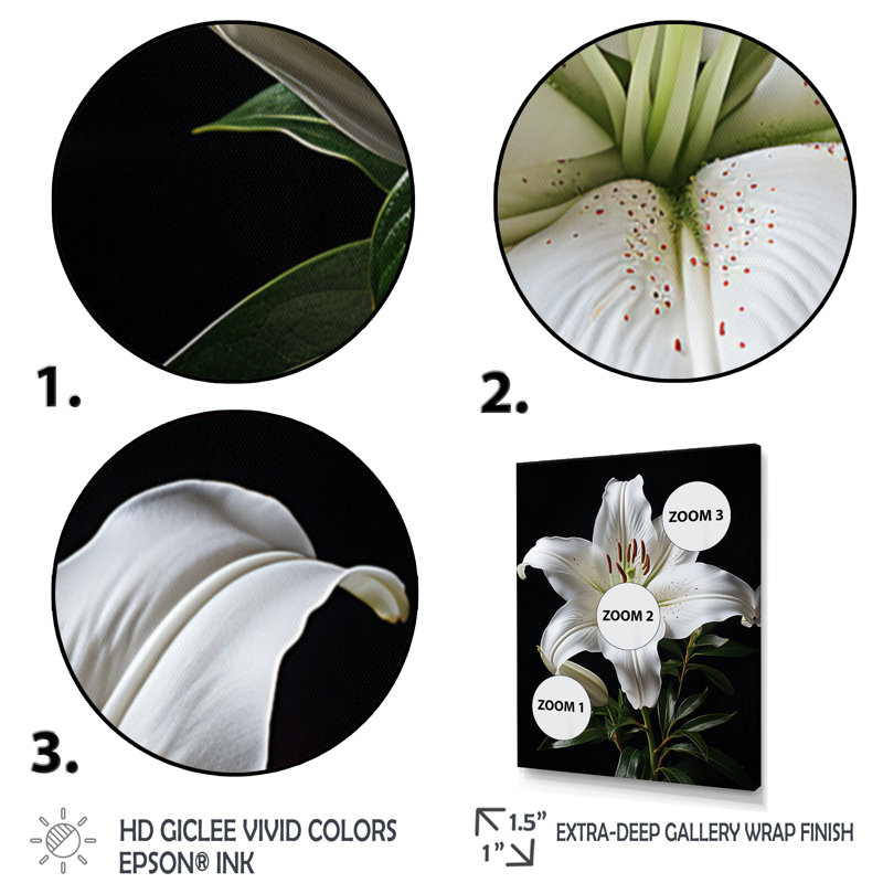 Impression sur toile encadrée, "Black Lily", Cadre simple noir, H 32 po x l 24 po x P 1 po