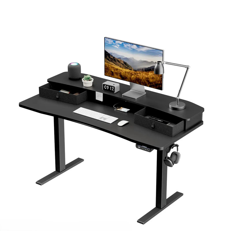 55'' W Large Electric Height Adjustable Standing Desk With Riser & 2 Drawers For Home Office, Black