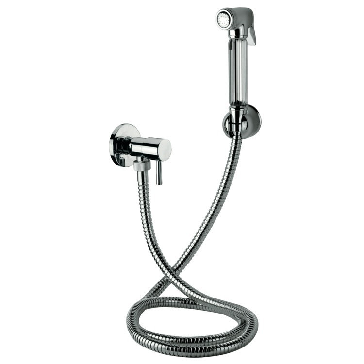 Handheld Shower Head 2.5 GPM GPM