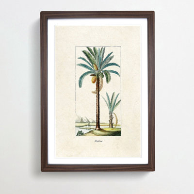 Illustration of a Date Palm Tree - Picture Frame Graphic Art Print on MDF