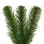 One Allium Way® 42" Deluxe Sequoia Pine Wreath 360T