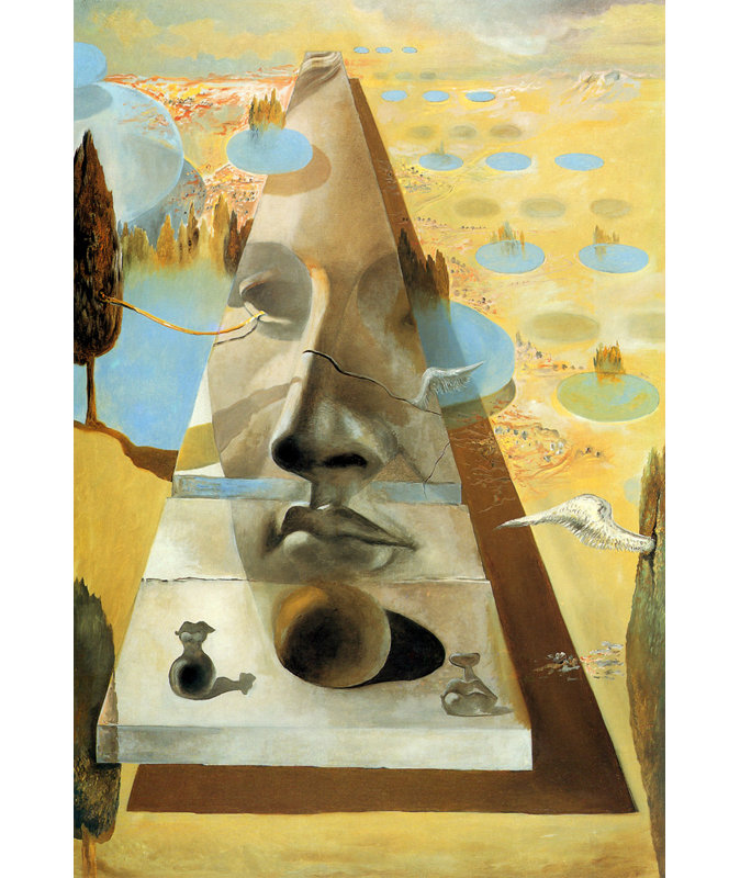 «Visage of Aphrodite» par Salvador Dali, toile tendue avec châssis, H 48 po x l 33 po