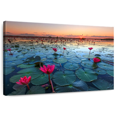 Harnek Lake Nong Harn Lotus