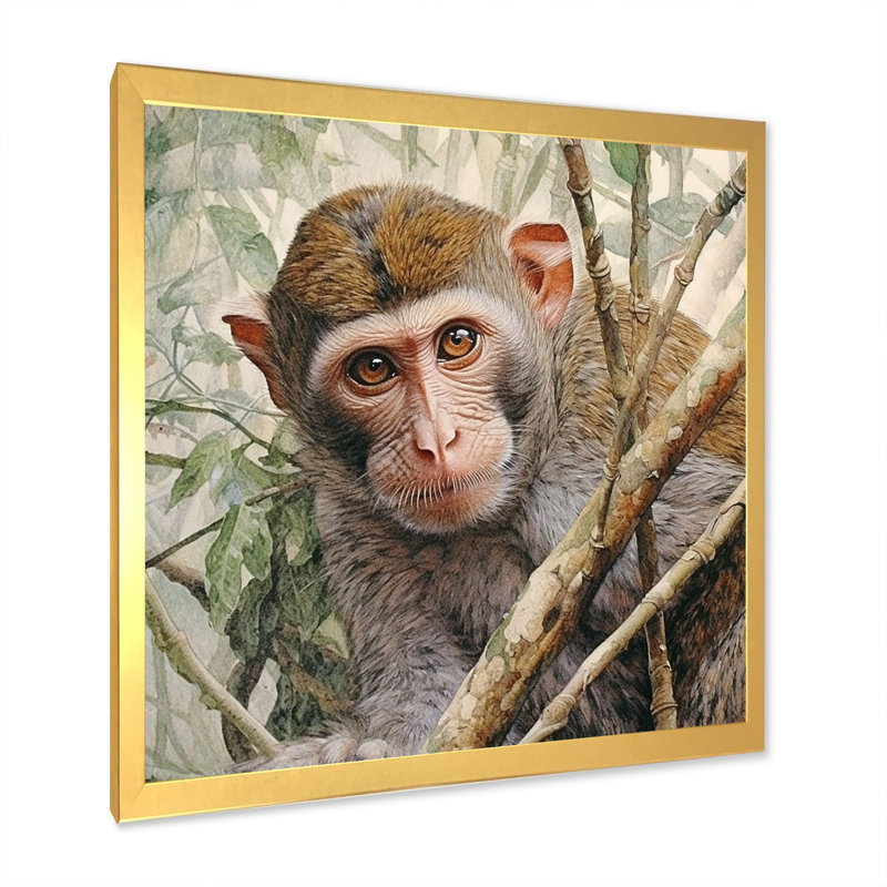 Wild Monkey IV sur toile, Cadre doré à une seule photo, H 24 po x l 24 po x P 1 po