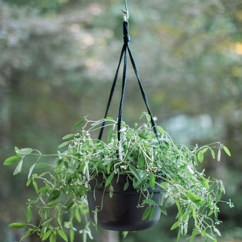 Dura Cotta Traditional Self-Watering Plastic Indoor/Outdoor Hanging Basket Planter with Macrame Cord, Black