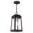 Antionetta Outdoor Hanging Lantern-448062609