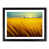 Black Framed selected