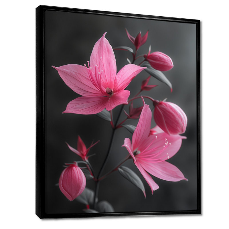 Fuchsia - Fuchsia, H 30 po x l 40 po, Cadre flottant noir, bois massif