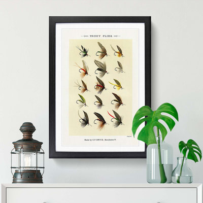 Trout Fishing Flies Version 8 by Mary Orvis Marbury - Framed Print
