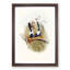Superb Warblers by Elizabeth Gould - Picture Frame Art Prints-55616805-55616806