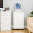 Jyiah 17'' Wide 2 -Drawer Mobile File Cabinet-1552262168