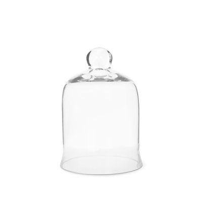 Glass Bell Jar