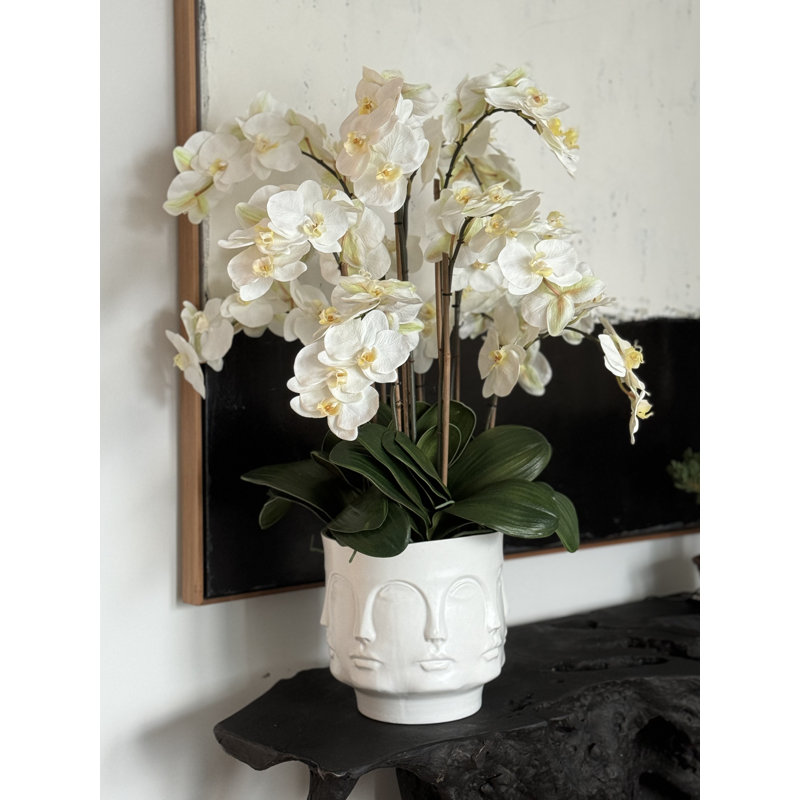 Matte Visage Vase With White Orchids