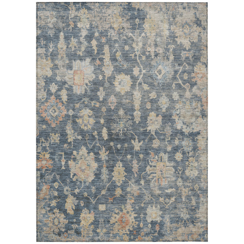 Machine Washable Indoor/Outdoor Wagenen ACN2355 Traditional Rug, Rectangle 9' x 12'