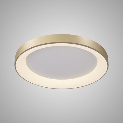 Antor LED Spotlight