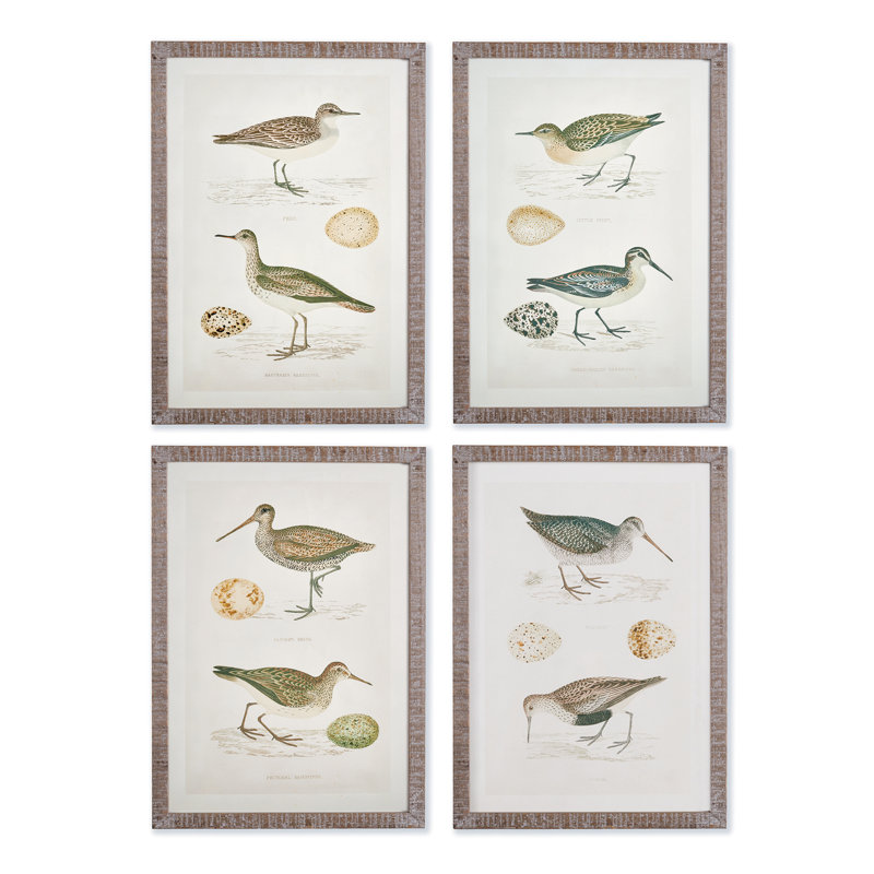 'Coastal Birds' - 4 Piece Picture Frame Print Set on Paper