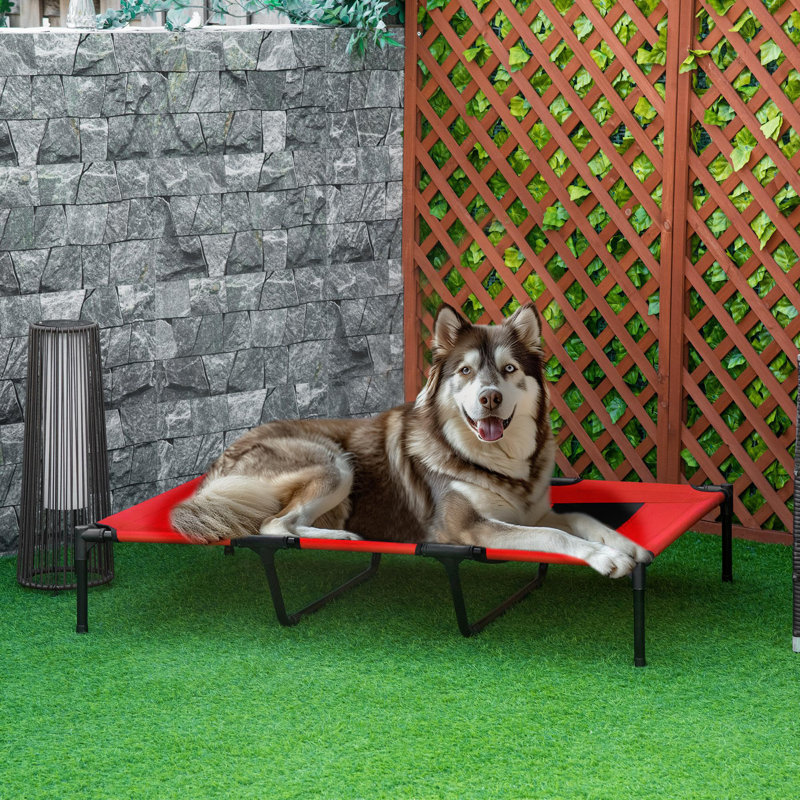 Pet Bed