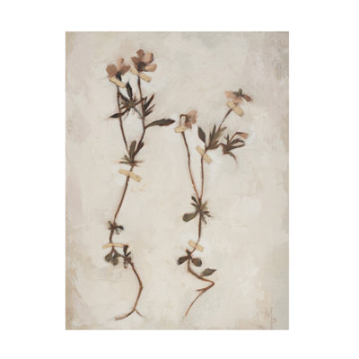 Wrapped Canvas Wall Art - Marian Parsons  'Painterly Botanical Studies I' Wall Art for Living Room, Bedroom, or Office Décor  - 35x47