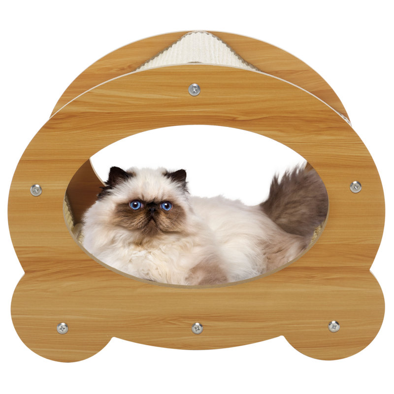 Cat Scratch House