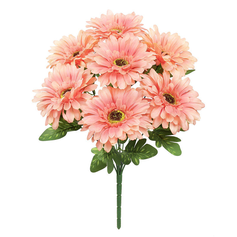 Gerbera Daisy Bushes, Pêche