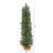 Christmas Tabletop Tree