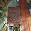 Photos des clients 1 de 2