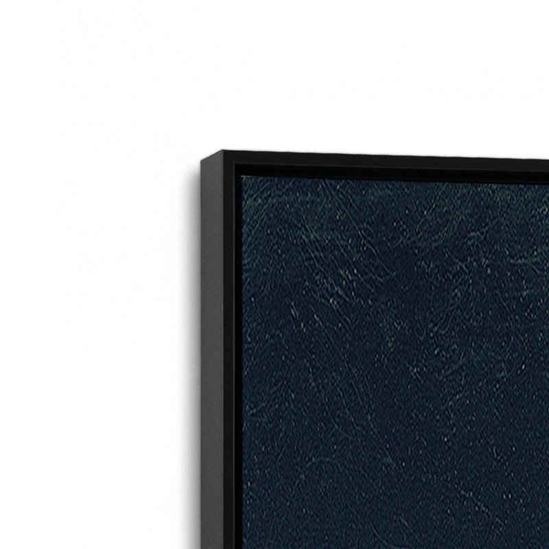 «Urchin Still Life II» par Nathan Larson, reproduction d'art sur toile, Noir, H 12 po x l 12 po, Cadre flottant