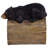 Gutter Guardians Black Bear Downspout Statue