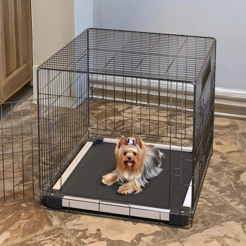 Lit pour chien surélevé à l'épreuve des mâchoires, lit surélevé pour usage intérieur / extérieur / camping, lit pour animal de compagnie rembourré durable et lavable pour chiens jouets, L 23,0 po x l 17,0 po x H 4,5 po, noir