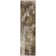Caseville Abstract Indoor Rug