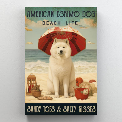 American Eskimo Dog Beach Life