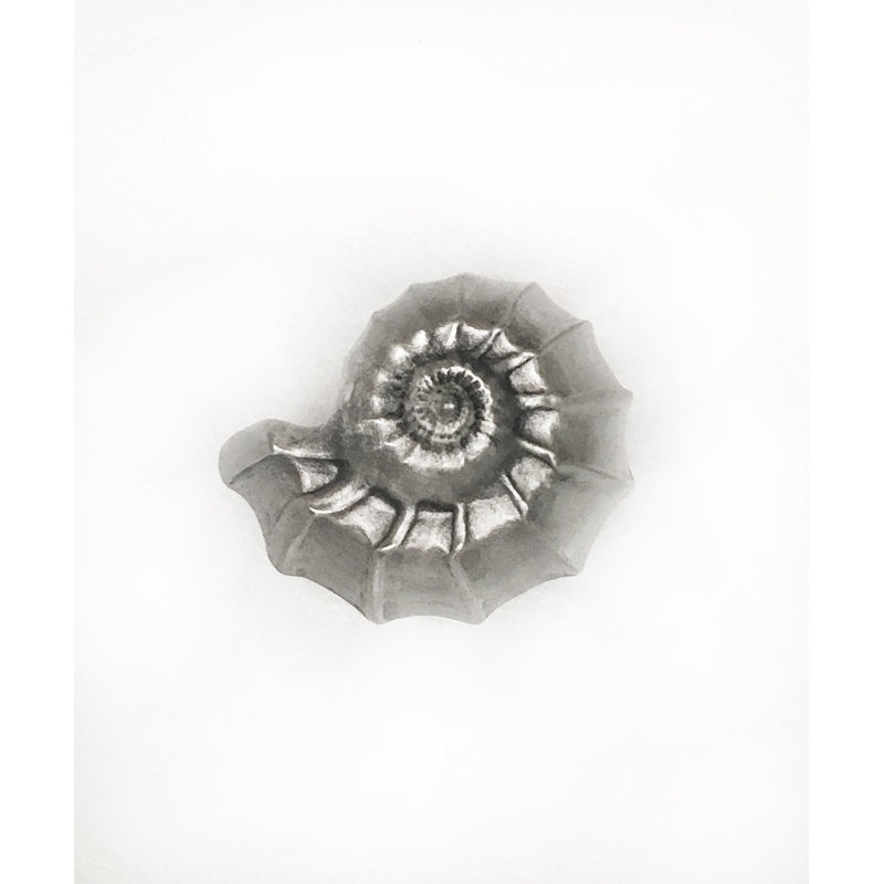 Tropical 3/2" Length Snail Novelty Knob, Satin