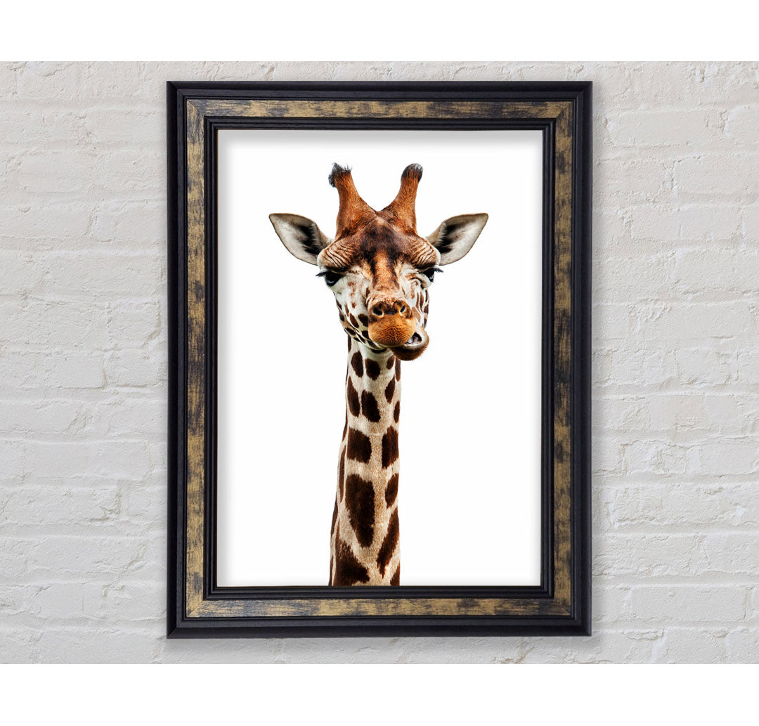 Goofy Giraffe - Druck