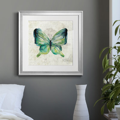 " Butterfly Sketch II " Painting Print