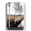 Birch Tree Landscape Photographic - Wrapped Canvas-19095177