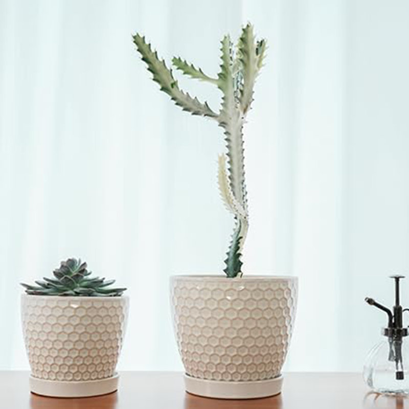 2 Piece Ceramic Plant Pot with Drainage Holes and Saucers, Milky White