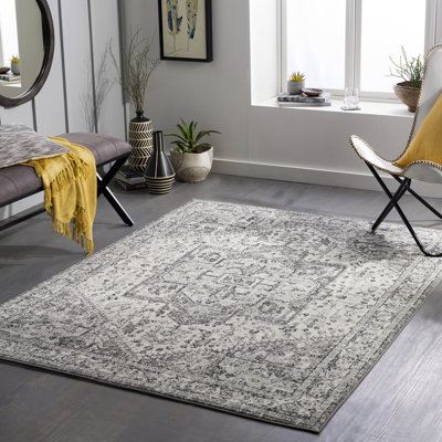 Aldusa Oriental Indoor Rug
