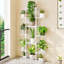 Plant Stand-845638618