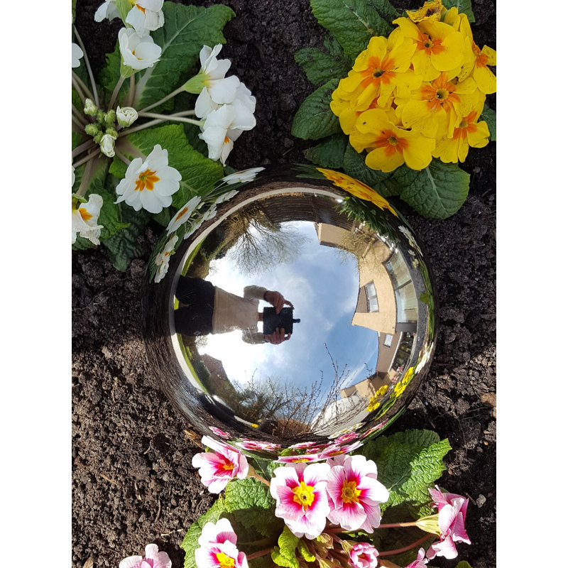 Darrol Stainless Steel Gazing Ball, 30cm H x 30cm W x 30cm D