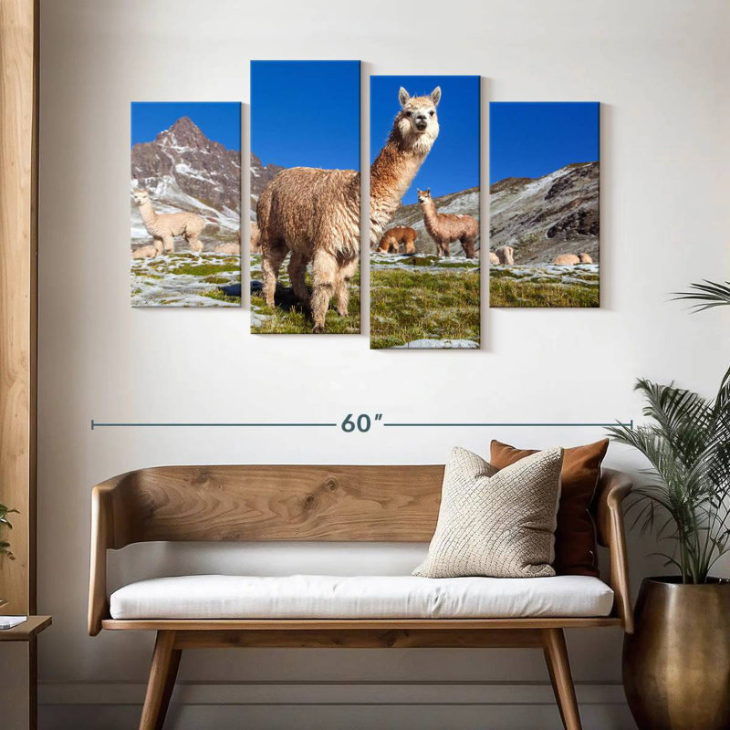 Lamas des Andes Brampt, H 32 po x l 52 po