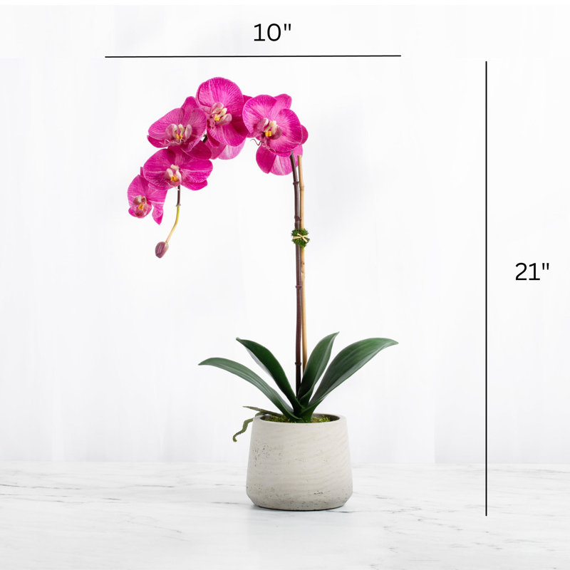 Artificial Orchid Plant, Pink